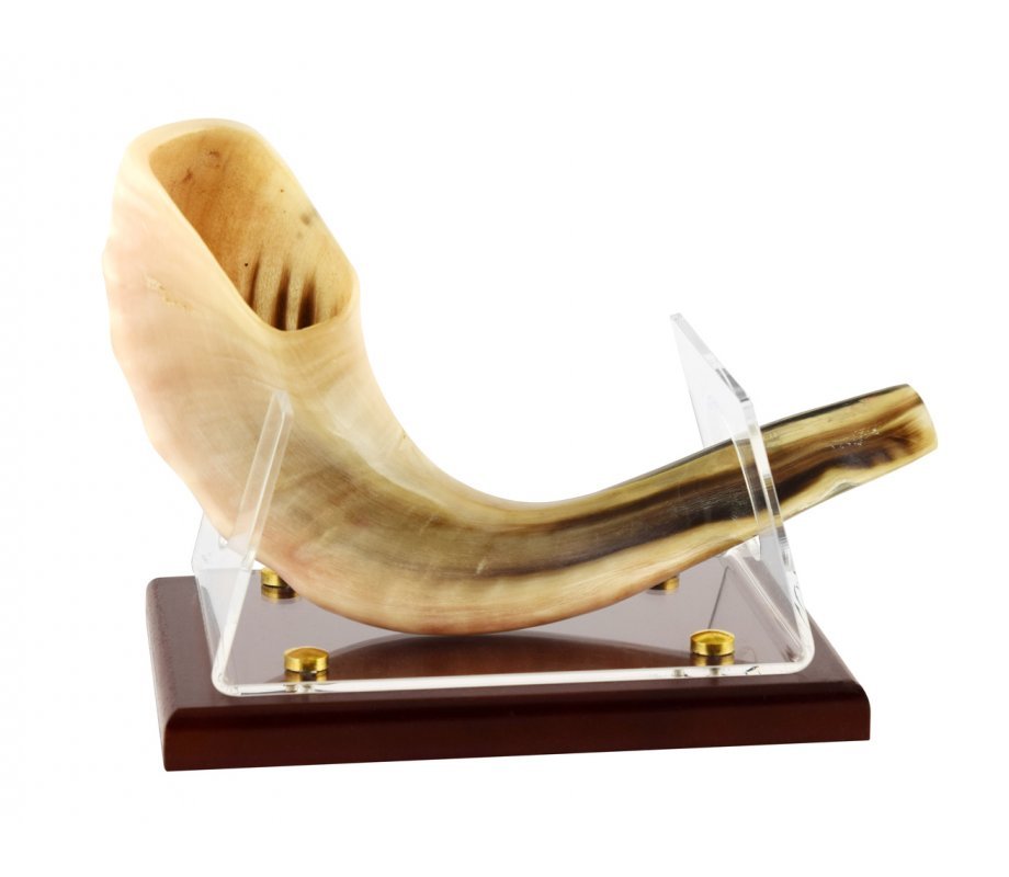 Expositor de Shofar - Tienda Bacari