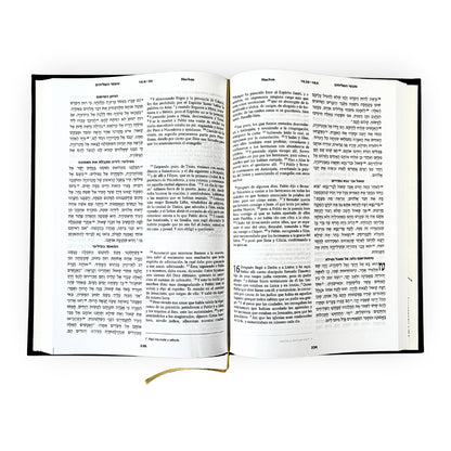 Hebrew-Spanish New Testament