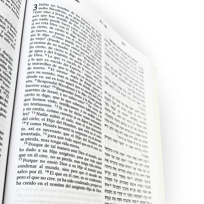 Hebrew-Spanish New Testament