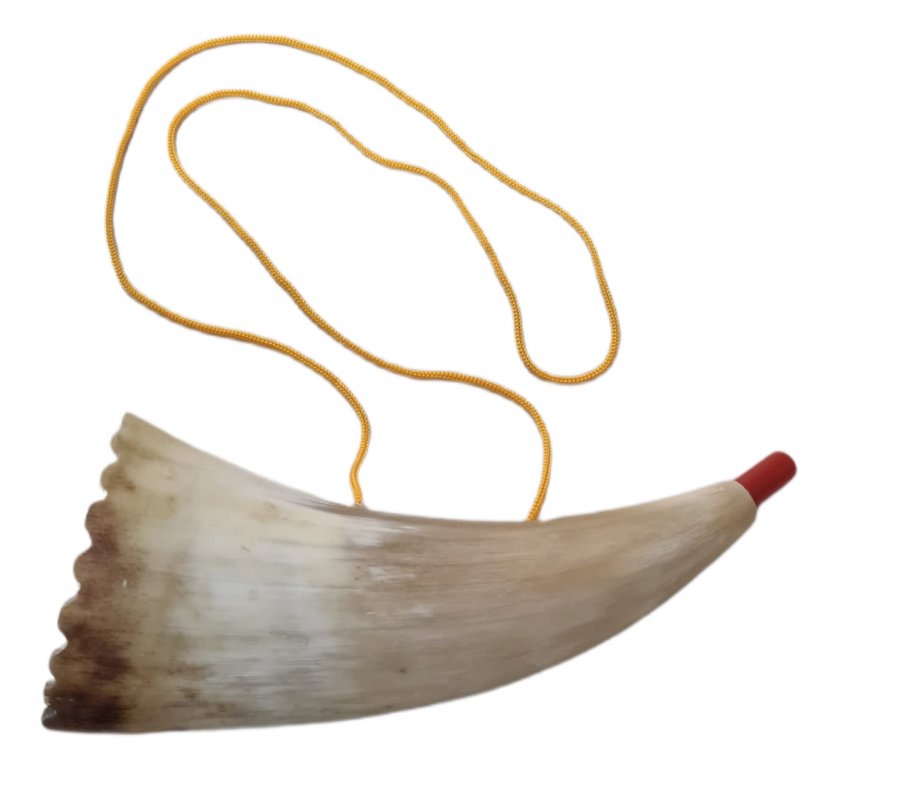 Shofar para niños