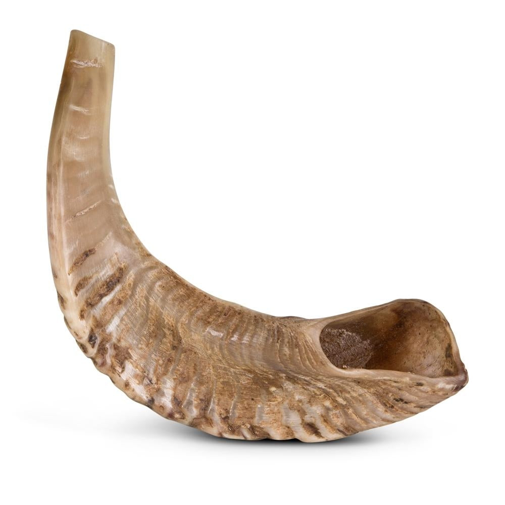 Classic Shofar