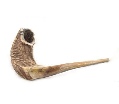 Classic Shofar