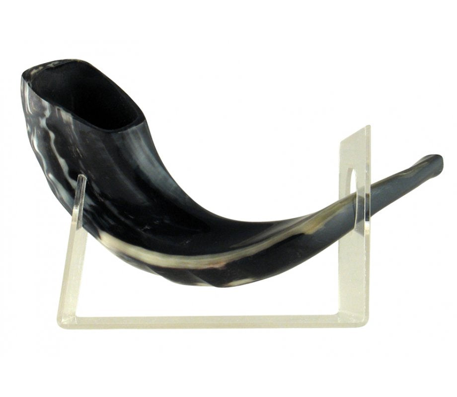 Shofar Exhibitor