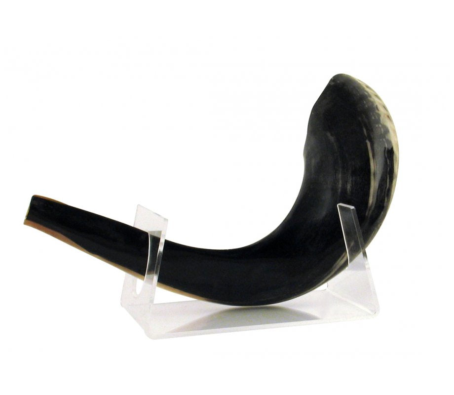 Expositor de Shofar