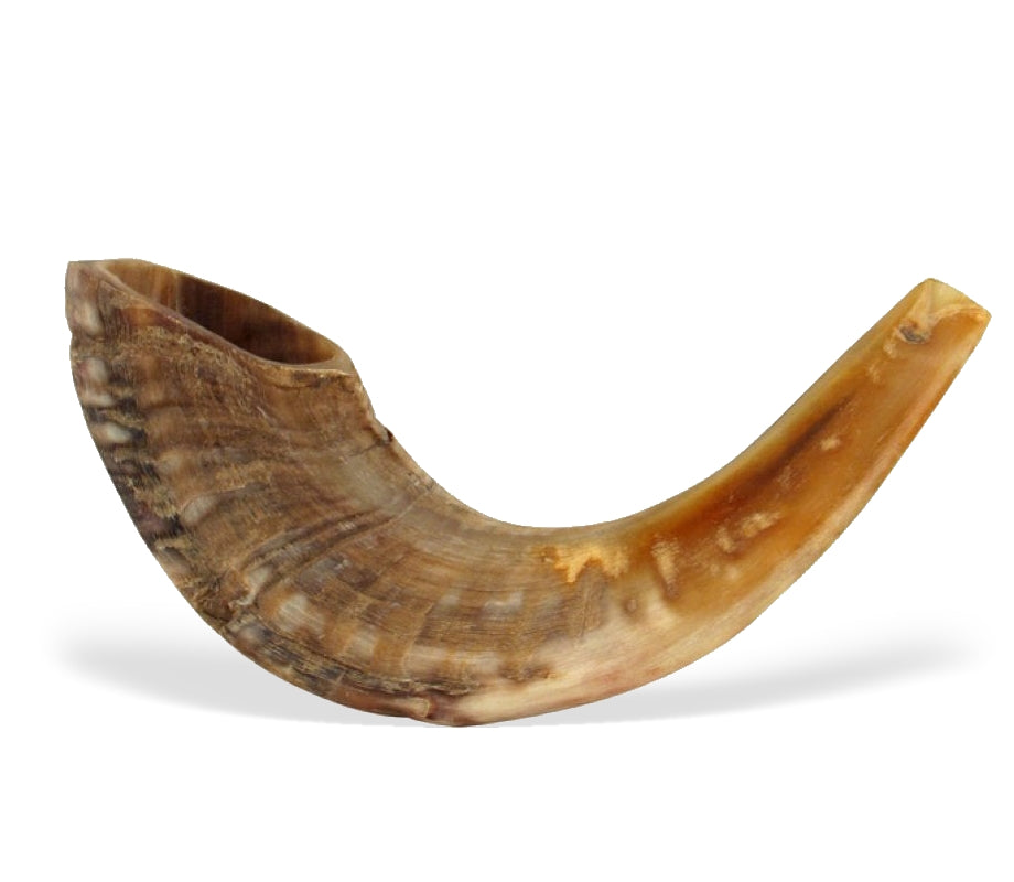 Classic Shofar