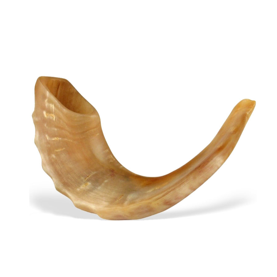 Polished Shofar