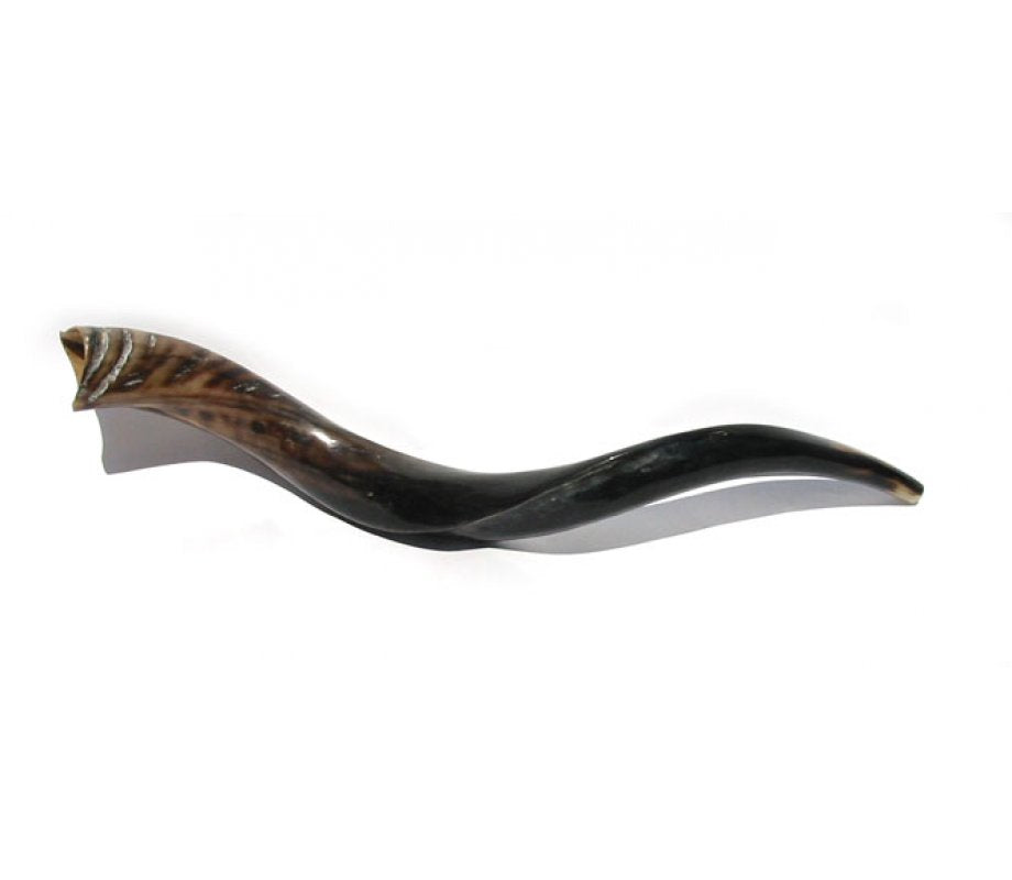 Shofar Yemenita