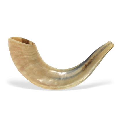 Polished Shofar