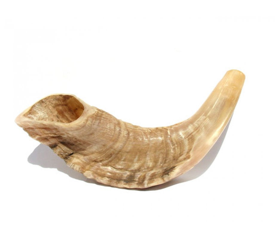 Shofar Clasico