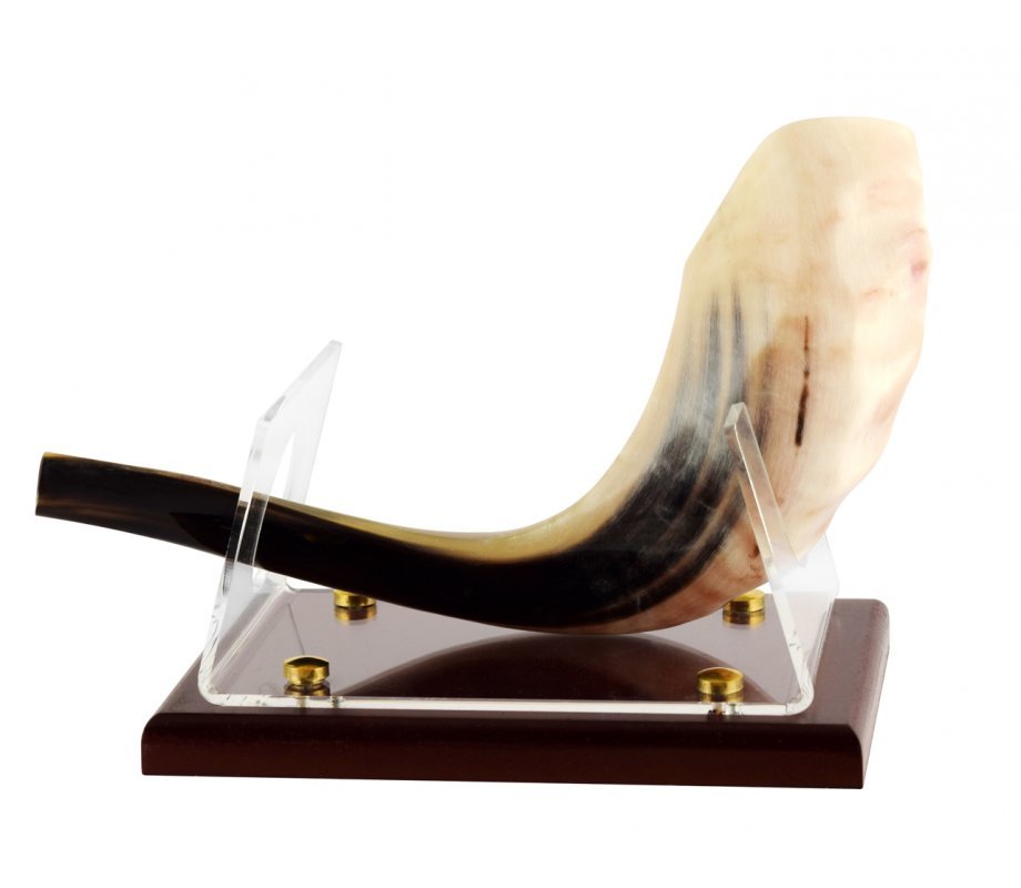 Expositor de Shofar - Tienda Bacari