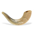 Shofar Clasico - Tienda Bacari