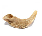 Shofar Clasico - Tienda Bacari