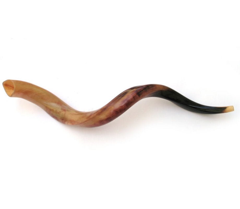 Shofar Yemenita - Tienda Bacari
