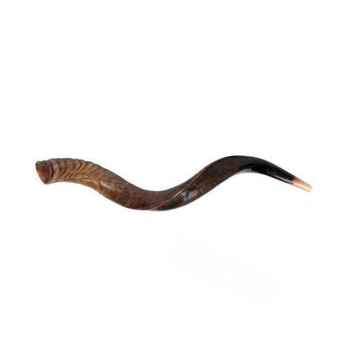 Shofar Yemenita - Tienda Bacari