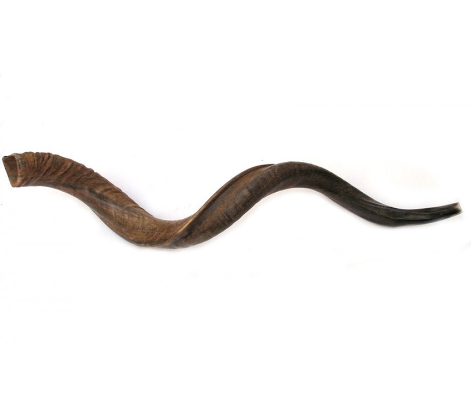 Shofar Yemenita - Tienda Bacari