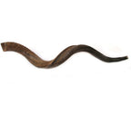 Shofar Yemenita - Tienda Bacari