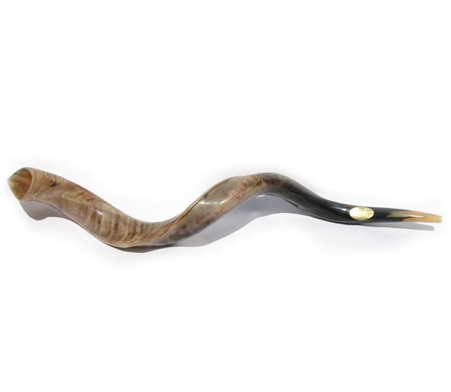 Shofar Yemenita - Tienda Bacari