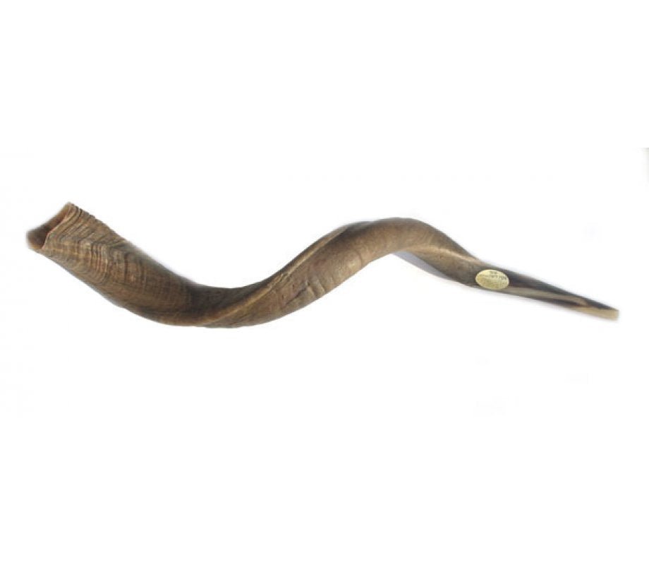Shofar Yemenita - Tienda Bacari
