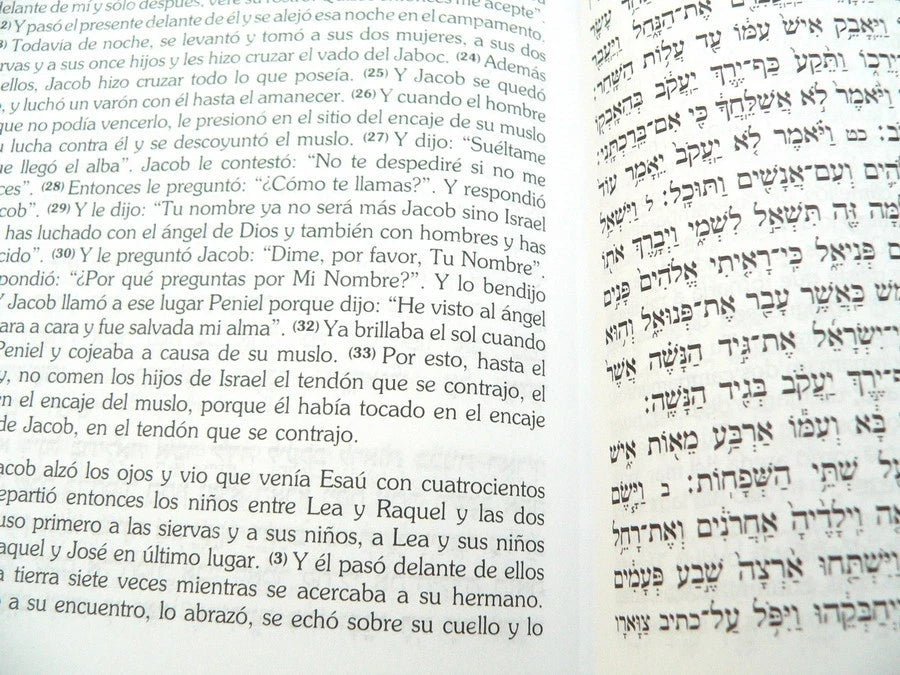 Torá hebreo - español - Tienda Bacari
